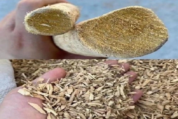 Eurycoma Longifolia Root Extract4 Eurycoma Longifolia Root Extract4